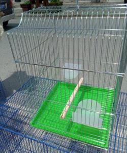 Wholesale <strong>Chinese</strong> Import Large Wedding Steel Wires Decorative Breeding <strong>Pet</strong> <strong>Bird</strong> Cage <strong>Birds</strong> - Product Image 3