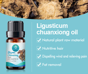 Wholesale Bulk <strong>Essential</strong> Oil Ligusticum Wallichii the <strong>Rhizome</strong> of Chuanxiong Oil - Product Image 5