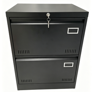 Armadio Archivio in Metallo, Armadietto Metallico, Armadietti per Archiviazione in Acciaio, <span class=keywords><strong>Mobile</strong></span> Archivio per Ufficio <span class=keywords><strong>con</strong></span> 2 Cassetti - Product Image 6