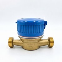OEM/ODM Support Brass Mechanical Single Jet Hot/Cold Water Flow Meter with Pulse Output