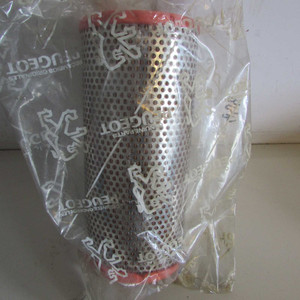 Nuovo Filtro Aria 1444.E6 per Peugeot 306 Mk3 1999-2002, Confezione Personalizzata, Filtro Aria Motore Usato - Product Image 1