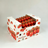 Verpakkingen voor verse tomaten, gegolfde kunststof kratten, geventileerd, herbruikbaar, groothandel