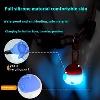 Accessoires pour chiens soigneusement sélectionnés, pendentif de collier en silicone pour animaux de compagnie coloré et lumineux avec charge USB pour la marche de nuit, motif solide