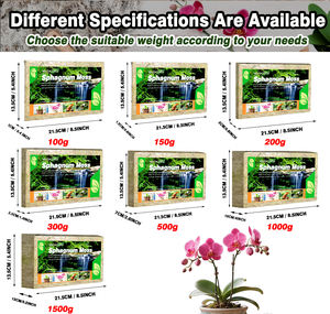 Mousse de Sphagnum Séchée Premium OEM Personnalisée 5kg en Matériau de Verre Compressé pour Reptiles en Vrac - Product Image 6