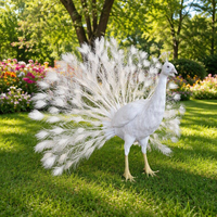 Statue de paon blanc animatronique en métal grandeur nature, personnalisable, haute simulation, modèle d'animal à mouvement automatique pour jardin, hôtel, zoo