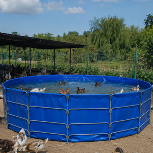 Vente Flash : Support <span class=keywords><strong>de</strong></span> <span class=keywords><strong>bassin</strong></span> à poissons en tube d'acier galvanisé rond, réservoir d'aquaculture en bâche PVC haute densité pour l'élevage <span class=keywords><strong>de</strong></span> poissons - Product Image 3