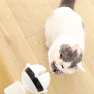 Modernes interaktives elektrisches Hebeball-Katzen spielzeug Automatischer Teaser für Kätzchen Lustiges Haustier-Spielzeug aus Kunststoff und Gummi für Kinder - Product Image 1