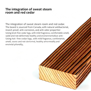 Sauna infrarouge lointain pour usage domestique en cèdre rouge, 1 personne, avec panneau chauffant en graphène, <span class=keywords><strong>écran</strong></span> tactile, MP3 et thérapie des pieds - Product Image 5