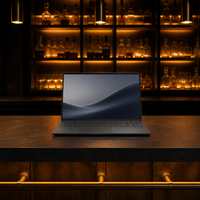 Nieuwe Budget King Laptop 15,6 inch FHD IPS AMD Ryzen 3 3250U 8GB RAM 512GB SSD Windows 11 Business Notebook Computer