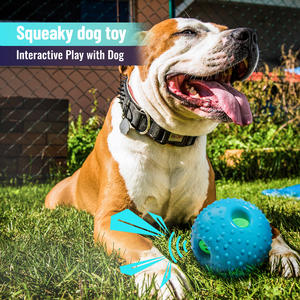 Bite dayanıklı interaktif oyuncak <span class=keywords><strong>Pet</strong></span> ödül Fetch oyna TPR gıcırtılı kedi köpek çiğnemek topu oyuncak mavi dışbükey ceza topu taşlama diş - Product Image 4