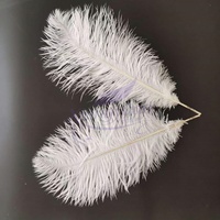 Plumes d'autruche blanches teintées en gros, 40-45 cm (16-18 po), pour fêtes, carnavals, artisanat DIY, décoration de vêtements de scène