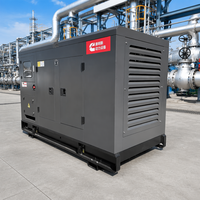 Générateurs à gaz silencieux 20KW 30KW 50KW triphasés 150kva Biogaz GNC GPL Gaz naturel à vendre Groupe électrogène