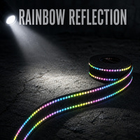 Sangle en nylon réfléchissant colorée de 1 pouce avec des lignes de fil double arc-en-ciel pour collier d'animal, laisse, sangle de sac et équipement de plein air