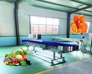 Máquina Clasificadora Óptica Automática Avanzada de Acero Inoxidable 304 para Mango, Pepino, Trufa, Champiñón y Ostra - Product Image 3