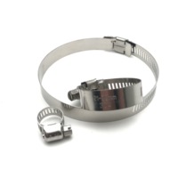 Collier de serrage en acier inoxydable SS304 mini collier de serrage réglable collier de serrage américain de Style allemand pour tuyau