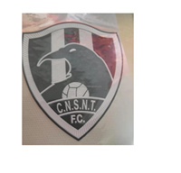 Étiquettes thermocollantes en silicone TPU gaufré 3D découpées au laser, patchs Tatami sportifs, logo d'équipe pour vêtements et maillots