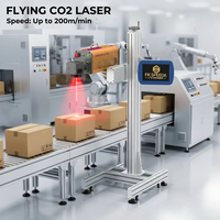 Machine de codage laser CO2 fiable pour bouteilles en plastique, verre, céramique, codeur haute précision sans contact 24/7