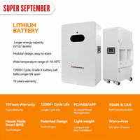 Stock UE 51.2V 200/300Ah Batterie murale LiFePO4 pour stockage d'énergie solaire et appareils électroménagers, 10-20kW, montage mural