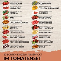 Kit de 20 sachets de graines de tomates biologiques style ferme, pour jardin, usage domestique et extérieur, écologique et de qualité supérieure, pour les passionnés de plantes