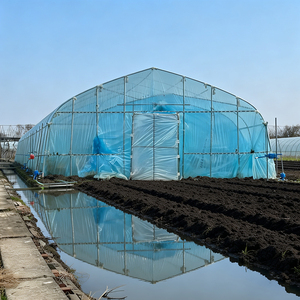 Serre commerciale à grande portée en film plastique avec structure en acier galvanisé stabilisé aux UV pour <span class=keywords><strong>la</strong></span> culture de légumes et de fleurs - Product Image 6