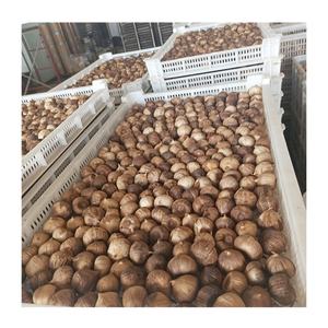 <span class=keywords><strong>Aglio</strong></span> nero <span class=keywords><strong>aglio</strong></span> nero cinese di alta qualità in bottiglia in vendita miglior prezzo - Product Image 3