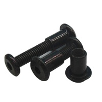 Vis de fixation Chicago mâle et femelle à tête hexagonale PZ en acier au carbone oxydé noir, classes M4 M10, grades 4.8, 8.8, 10.9, 12.9