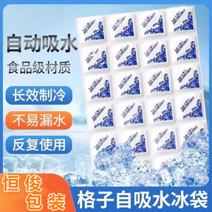 Sac isotherme auto-amorçant Hengjun, refroidissement de 6 heures pour la logistique à chaîne du froid et la livraison express - Product Image 4