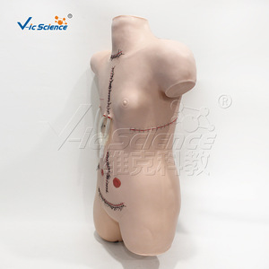 Modèle de démonstration de suture et de pansement chirurgical ; modèle d'opération pour la formation infirmière ; pour utilisation en école de soins infirmiers - Product Image 2