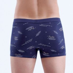 กางเกงบ็อกเซอร์ชายผ้าฝ้ายเรียบ - Product Image 1