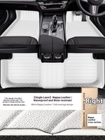 Tapis de sol de voiture personnalisés 2025, noir, luxe, double couche, tapis de sol de voiture en TPE