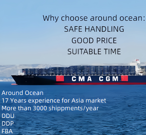 40HQ Envío de contenedor completo desde China a Bolivia Paraguay Uruguay-Precio barato Consolidación FCL LCL - Product Image 5