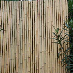 Rouleaux de clôture en <span class=keywords><strong>bambou</strong></span> enduit de PVC écologique, diamètre 16-28 mm, pas chers, pour jardin, <span class=keywords><strong>balcon</strong></span>, haute qualité - Product Image 2