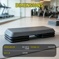 Plataformas de Step Aeróbico OKPRO al por Mayor con Logotipo Personalizado, con Elevadores Ajustables para Ejercicio en Gimnasio