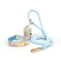 Articles pour animaux de compagnie vendeur chaud collier 2025 impression personnalisée colliers de chien mode collier et laisse pour chien ensemble de luxe toutou caca porte-sac