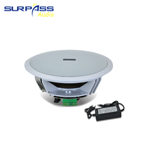 BT812 système de sonorisation Surpass 8 pouces impédance 2*15W système de sonorisation intérieur HiFi haut-parleur de plafond sans fil Blue-tooth