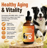 Gouttes pour la santé cérébrale des chiens de marque privée, suppléments pour animaux seniors CoQ10 DHA, soutien cognitif, absorption rapide, OEM ODM