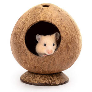 Casa de animales pequeños, jaula para mascotas, decoración de hábitats, Nido de Pájaro de coco, cabaña con escalera para loros, periquito - Product Image 6