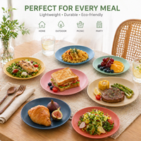 Ensemble d'assiettes écologiques en paille de blé, assiettes à dîner incassables, biodégradables, sans BPA, compatibles micro-ondes, vaisselle pour enfants et adultes