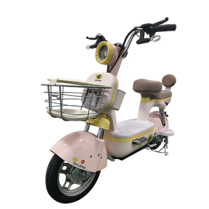 Vélo Électrique Pliant pour Adultes avec Pneus Larges, Moteur 48V 500W, pour Livraison, Importateur Népal, Accessoires de Tricycle - Product Image 1