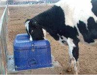 Vente chaude Abreuvoirs pour bovins Abreuvoirs pour chevaux Abreuvoir pour animaux Abreuvoir pour porcs