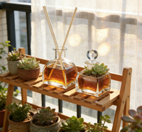 Bouteilles diffuseurs à roseaux cylindriques en verre transparent de 50 ml, 100 ml, 150 ml, personnalisables par sérigraphie, contenants vides en gros