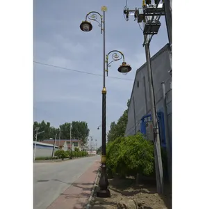 金星装饰铸铁/铝基9m发光二极管120 W街道螺旋杆灯柱2灯座和金色装饰支架