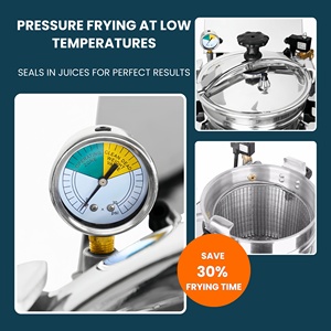 Nouvel Arrivage Avec Capot Haute Performance Sir Fryer Friteuses électriques en acier inoxydable - Product Image 3