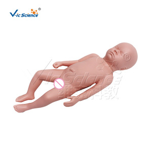 Un modèle médical réaliste pour l'entraînement infirmier peut être utilisé comme modèle de bébé avec un os pelvien. - Product Image 5