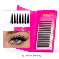 Vente en gros directe usine : Cils anime 0,07 MM C/D Solid Spike Wispy, éventails préfabriqués volume personnalisé, fournitures pour cils