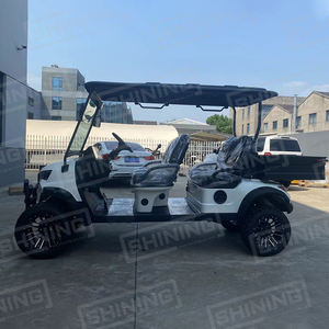 Chariot de golf de marque brillante avec boîte de chargement 500kgs personnalisation de soutien - Product Image 3