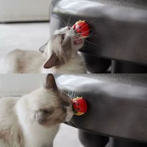 Nouveauté 2024 : Balles de Catnip Ladybird pour chats, jouet rotatif, balles comestibles naturelles et saines, auto-adhésives - Product Image 3