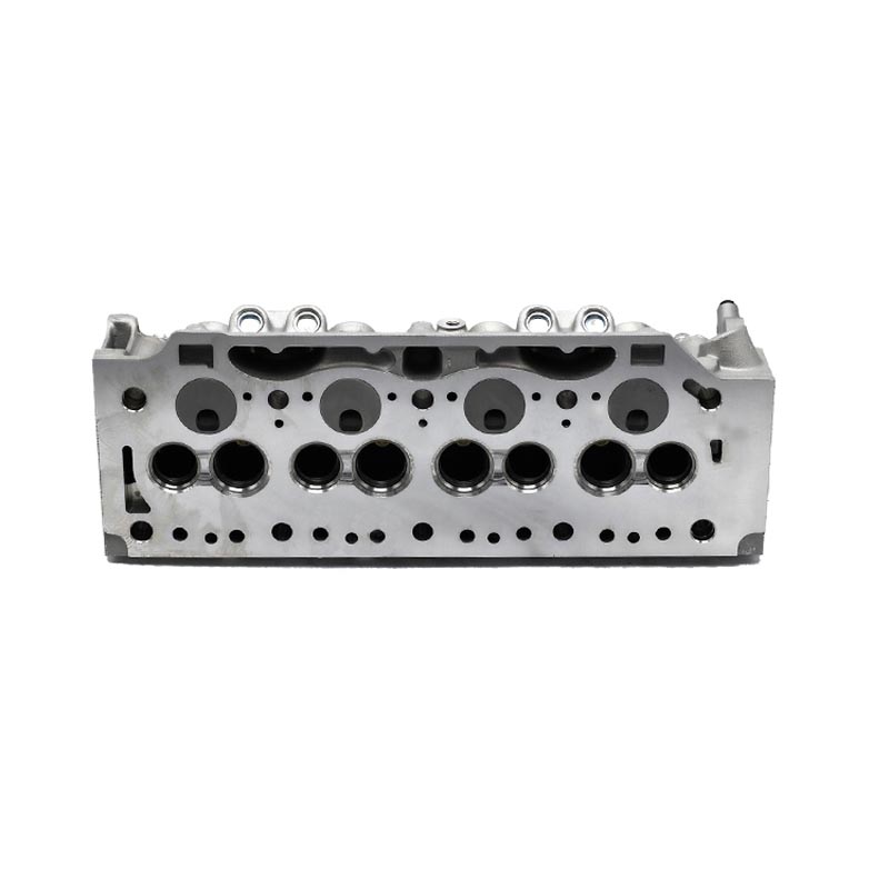 SMARTLION Cylinder Head for Renault Express Clio Megane1.9d