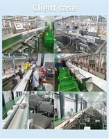 Trieur de contrôle de poids à plusieurs niveaux Peseur de contrôle Machine de classement pour volailles poulets dans les abattoirs