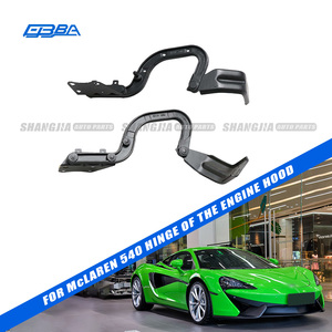 Accesorios de Alta Calidad para Autos, Bisagra de Capó de Tamaño Estándar en Material Original para McLaren 540 L 13A6312CP R 13A6312CP - Product Image 1